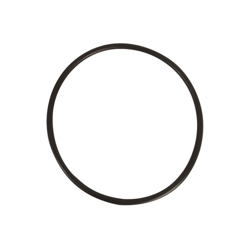 [R-PK-ORINGPFBB] ORING PARA PORTAFILTRO BIG BLUE 4.5"